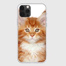 Чехол для iPhone 12 Pro Max с принтом Рыжий котенок , Силикон |  | Тематика изображения на принте: животное | порода | рыжий котенок