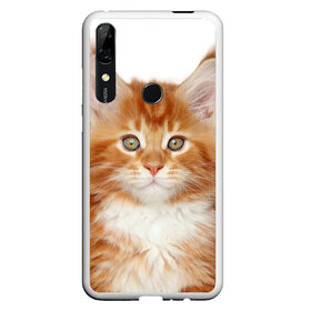 Чехол для Honor P Smart Z с принтом Рыжий котенок , Силикон | Область печати: задняя сторона чехла, без боковых панелей | животное | порода | рыжий котенок