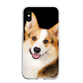 Чехол для iPhone XS Max матовый с принтом Пемброк-вельш-корги , Силикон | Область печати: задняя сторона чехла, без боковых панелей | Тематика изображения на принте: животное | пемброк вельш корги | порода | собака