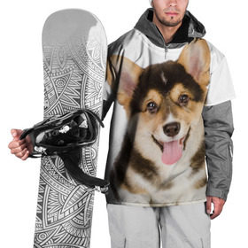 Накидка на куртку 3D с принтом Пемброк-вельш-корги , 100% полиэстер |  | животное | пемброк вельш корги | порода | собака