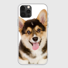Чехол для iPhone 12 Pro Max с принтом Пемброк-вельш-корги , Силикон |  | Тематика изображения на принте: животное | пемброк вельш корги | порода | собака