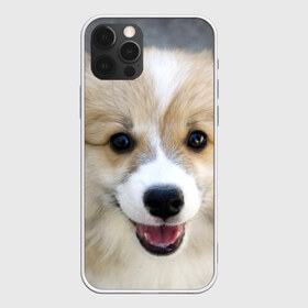Чехол для iPhone 12 Pro Max с принтом Пемброк-вельш-корги собака п , Силикон |  | Тематика изображения на принте: животное | пемброк вельш корги | порода | собака