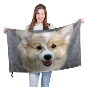Флаг 3D с принтом Пемброк-вельш-корги, собака, п , 100% полиэстер | плотность ткани — 95 г/м2, размер — 67 х 109 см. Принт наносится с одной стороны | животное | пемброк вельш корги | порода | собака