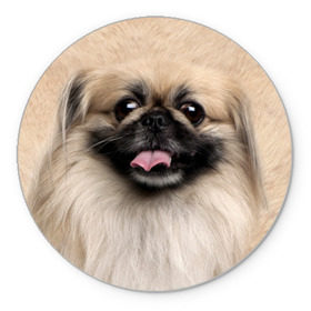 Коврик круглый с принтом Пекинес , резина и полиэстер | круглая форма, изображение наносится на всю лицевую часть | животное | пекинес | порода | собака