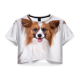 Женская футболка 3D укороченная с принтом Папийон , 100% полиэстер | круглая горловина, длина футболки до линии талии, рукава с отворотами | животное | папийон | порода | собака