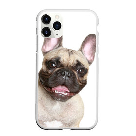 Чехол для iPhone 11 Pro Max матовый с принтом Французский бульдог , Силикон |  | животное | порода | собака | французский бульдог