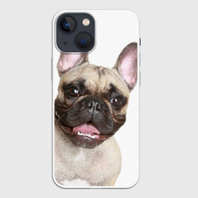 Чехол для iPhone 13 mini с принтом Французский бульдог ,  |  | животное | порода | собака | французский бульдог
