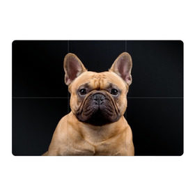 Магнитный плакат 3Х2 с принтом Французский бульдог , Полимерный материал с магнитным слоем | 6 деталей размером 9*9 см | животное | порода | собака | французский бульдог