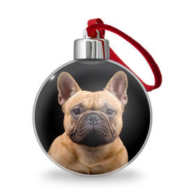 Ёлочный шар с принтом Французский бульдог , Пластик | Диаметр: 77 мм | животное | порода | собака | французский бульдог