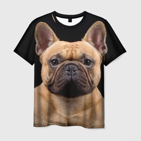 Мужская футболка 3D с принтом Французский бульдог , 100% полиэфир | прямой крой, круглый вырез горловины, длина до линии бедер | животное | порода | собака | французский бульдог
