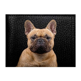 Обложка для студенческого билета с принтом Французский бульдог , натуральная кожа | Размер: 11*8 см; Печать на всей внешней стороне | Тематика изображения на принте: животное | порода | собака | французский бульдог