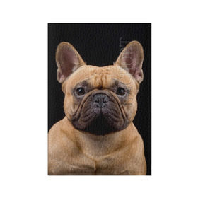 Обложка для паспорта матовая кожа с принтом Французский бульдог , натуральная матовая кожа | размер 19,3 х 13,7 см; прозрачные пластиковые крепления | животное | порода | собака | французский бульдог