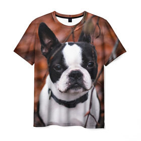 Мужская футболка 3D с принтом Бостон Терьер , 100% полиэфир | прямой крой, круглый вырез горловины, длина до линии бедер | животное | порода | собака | французский бульдог