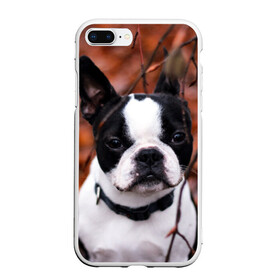 Чехол для iPhone 7Plus/8 Plus матовый с принтом Бостон Терьер , Силикон | Область печати: задняя сторона чехла, без боковых панелей | животное | порода | собака | французский бульдог
