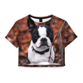 Женская футболка 3D укороченная с принтом Бостон Терьер , 100% полиэстер | круглая горловина, длина футболки до линии талии, рукава с отворотами | Тематика изображения на принте: животное | порода | собака | французский бульдог