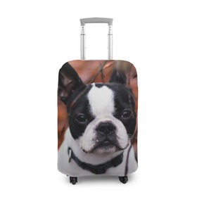 Чехол для чемодана 3D с принтом Бостон Терьер , 86% полиэфир, 14% спандекс | двустороннее нанесение принта, прорези для ручек и колес | животное | порода | собака | французский бульдог