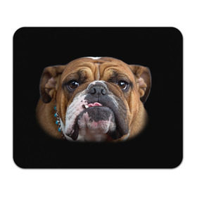 Коврик прямоугольный с принтом Французский бульдог , натуральный каучук | размер 230 х 185 мм; запечатка лицевой стороны | Тематика изображения на принте: животное | порода | собака | французский бульдог