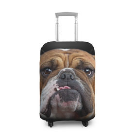 Чехол для чемодана 3D с принтом Французский бульдог , 86% полиэфир, 14% спандекс | двустороннее нанесение принта, прорези для ручек и колес | животное | порода | собака | французский бульдог