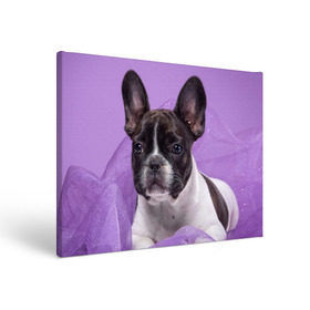 Холст прямоугольный с принтом Французский бульдог , 100% ПВХ |  | Тематика изображения на принте: животное | порода | собака | французский бульдог