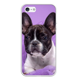Чехол для iPhone 5/5S матовый с принтом Французский бульдог , Силикон | Область печати: задняя сторона чехла, без боковых панелей | животное | порода | собака | французский бульдог