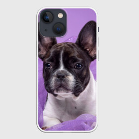 Чехол для iPhone 13 mini с принтом Французский бульдог ,  |  | животное | порода | собака | французский бульдог