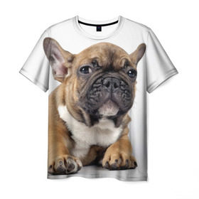 Мужская футболка 3D с принтом Французский бульдог , 100% полиэфир | прямой крой, круглый вырез горловины, длина до линии бедер | животное | порода | собака | французский бульдог