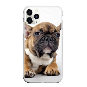 Чехол для iPhone 11 Pro матовый с принтом Французский бульдог , Силикон |  | Тематика изображения на принте: животное | порода | собака | французский бульдог