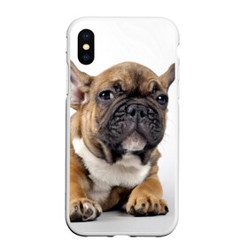 Чехол для iPhone XS Max матовый с принтом Французский бульдог , Силикон | Область печати: задняя сторона чехла, без боковых панелей | животное | порода | собака | французский бульдог