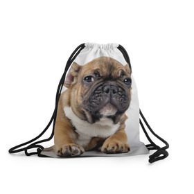 Рюкзак-мешок 3D с принтом Французский бульдог , 100% полиэстер | плотность ткани — 200 г/м2, размер — 35 х 45 см; лямки — толстые шнурки, застежка на шнуровке, без карманов и подкладки | животное | порода | собака | французский бульдог