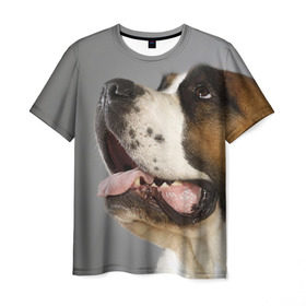 Мужская футболка 3D с принтом Сенбернар , 100% полиэфир | прямой крой, круглый вырез горловины, длина до линии бедер | животное | порода | сенбернар | собака