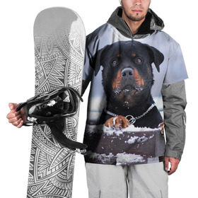 Накидка на куртку 3D с принтом Ротвейлер , 100% полиэстер |  | Тематика изображения на принте: животное | порода | ротвейлер | собака
