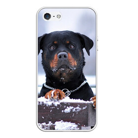 Чехол для iPhone 5/5S матовый с принтом Ротвейлер , Силикон | Область печати: задняя сторона чехла, без боковых панелей | животное | порода | ротвейлер | собака