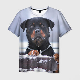 Мужская футболка 3D с принтом Ротвейлер , 100% полиэфир | прямой крой, круглый вырез горловины, длина до линии бедер | Тематика изображения на принте: животное | порода | ротвейлер | собака