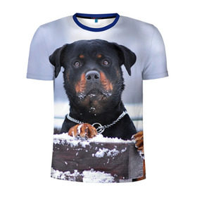 Мужская футболка 3D спортивная с принтом Ротвейлер , 100% полиэстер с улучшенными характеристиками | приталенный силуэт, круглая горловина, широкие плечи, сужается к линии бедра | животное | порода | ротвейлер | собака