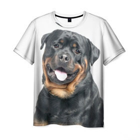 Мужская футболка 3D с принтом Ротвейлер , 100% полиэфир | прямой крой, круглый вырез горловины, длина до линии бедер | животное | порода | ротвейлер | собака