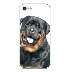 Чехол для iPhone 5/5S матовый с принтом Ротвейлер , Силикон | Область печати: задняя сторона чехла, без боковых панелей | животное | порода | ротвейлер | собака