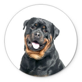 Коврик круглый с принтом Ротвейлер , резина и полиэстер | круглая форма, изображение наносится на всю лицевую часть | животное | порода | ротвейлер | собака