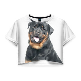 Женская футболка 3D укороченная с принтом Ротвейлер , 100% полиэстер | круглая горловина, длина футболки до линии талии, рукава с отворотами | животное | порода | ротвейлер | собака
