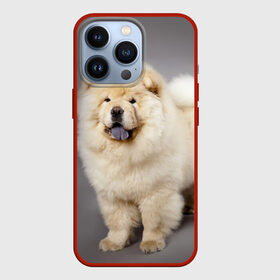 Чехол для iPhone 13 Pro с принтом Чау чау ,  |  | животное | порода | собака | чау чау