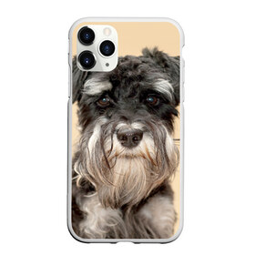 Чехол для iPhone 11 Pro матовый с принтом Цвергшнауцер , Силикон |  | животное | порода | собака | цвергшнауцер