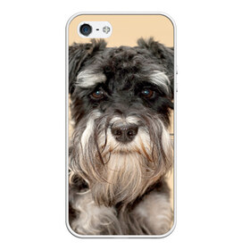 Чехол для iPhone 5/5S матовый с принтом Цвергшнауцер , Силикон | Область печати: задняя сторона чехла, без боковых панелей | Тематика изображения на принте: животное | порода | собака | цвергшнауцер