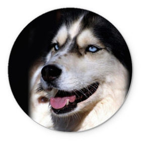 Коврик круглый с принтом Хаски , резина и полиэстер | круглая форма, изображение наносится на всю лицевую часть | животное | порода | собака | хаски