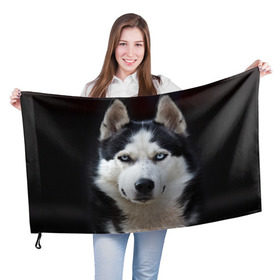 Флаг 3D с принтом Хаски , 100% полиэстер | плотность ткани — 95 г/м2, размер — 67 х 109 см. Принт наносится с одной стороны | бандит | животное | порода | собака | хаски | хаски бандит