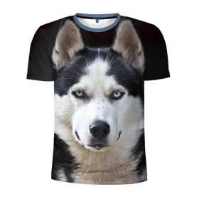 Мужская футболка 3D спортивная с принтом Хаски , 100% полиэстер с улучшенными характеристиками | приталенный силуэт, круглая горловина, широкие плечи, сужается к линии бедра | бандит | животное | порода | собака | хаски | хаски бандит