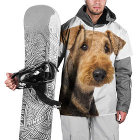 Накидка на куртку 3D с принтом Эрдельтерьер , 100% полиэстер |  | Тематика изображения на принте: животное | порода | собака | эрдельтерьер