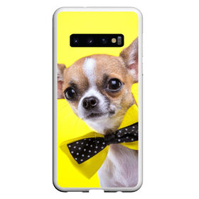 Чехол для Samsung Galaxy S10 с принтом Чихуахуа , Силикон | Область печати: задняя сторона чехла, без боковых панелей | Тематика изображения на принте: животное | порода | собака | чихуахуа
