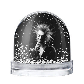 Снежный шар с принтом Горшок 1 , Пластик | Изображение внутри шара печатается на глянцевой фотобумаге с двух сторон | король и шут