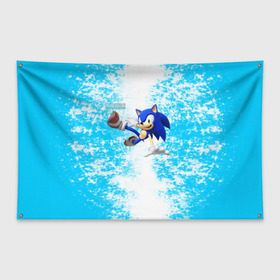 Флаг-баннер с принтом Sonic , 100% полиэстер | размер 67 х 109 см, плотность ткани — 95 г/м2; по краям флага есть четыре люверса для крепления | sonic | еж | игра | соник