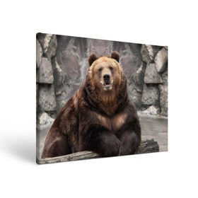Холст прямоугольный с принтом Русский медведь , 100% ПВХ |  | медведь | россия | русский | русский медведь