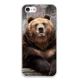 Чехол для iPhone 5/5S матовый с принтом Русский медведь , Силикон | Область печати: задняя сторона чехла, без боковых панелей | медведь | россия | русский | русский медведь